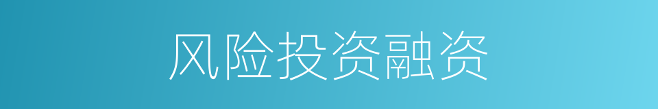 风险投资融资的同义词
