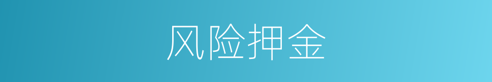 风险押金的同义词