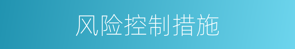 风险控制措施的同义词