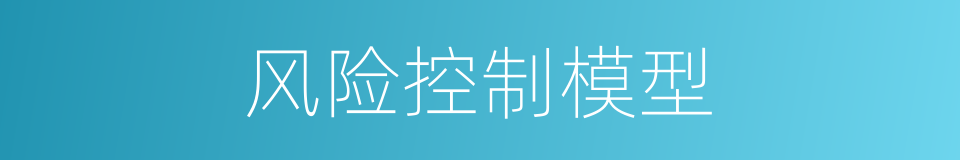 风险控制模型的同义词