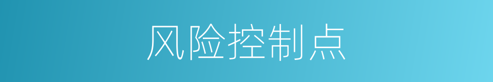 风险控制点的同义词