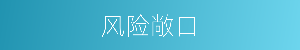 风险敞口的意思