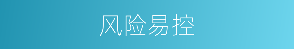 风险易控的同义词