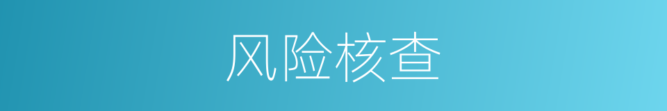 风险核查的同义词