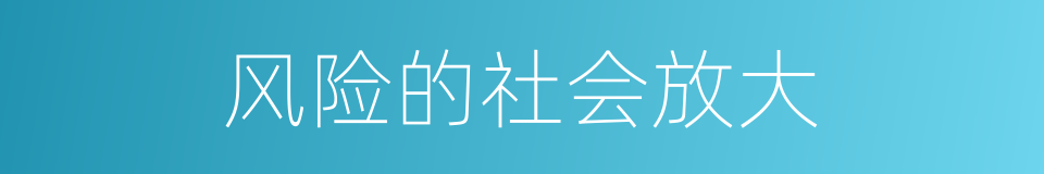 风险的社会放大的同义词