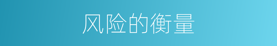 风险的衡量的同义词