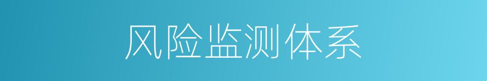 风险监测体系的同义词
