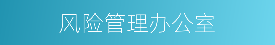 风险管理办公室的同义词