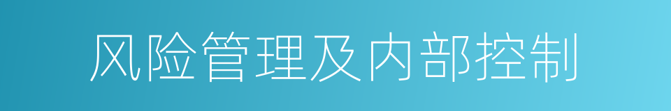 风险管理及内部控制的同义词