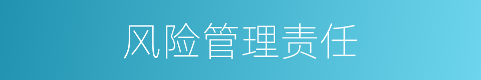 风险管理责任的同义词