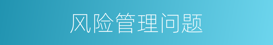 风险管理问题的同义词