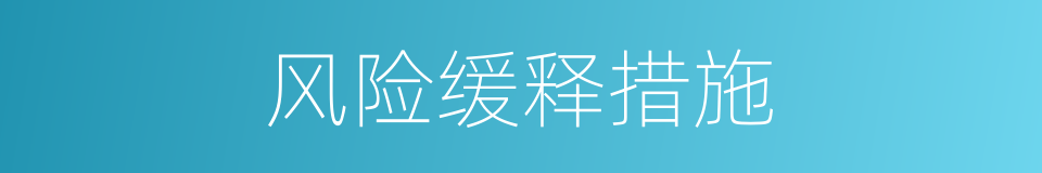 风险缓释措施的同义词