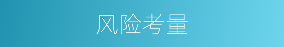 风险考量的同义词