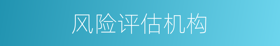 风险评估机构的同义词