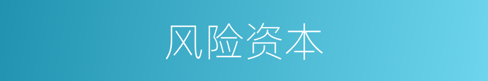 风险资本的同义词