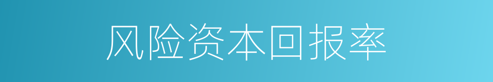 风险资本回报率的同义词