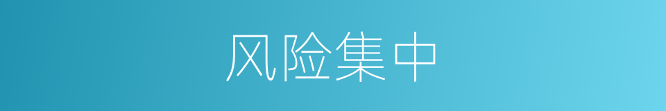 风险集中的同义词