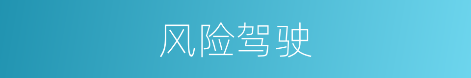 风险驾驶的同义词