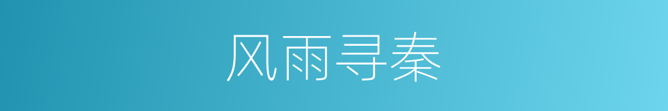 风雨寻秦的同义词