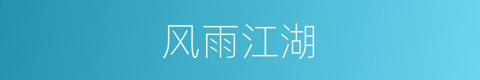风雨江湖的同义词