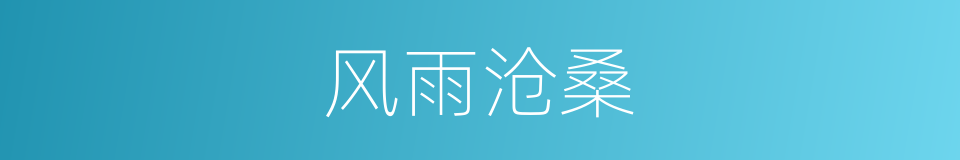 风雨沧桑的同义词
