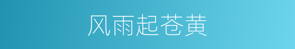 风雨起苍黄的同义词