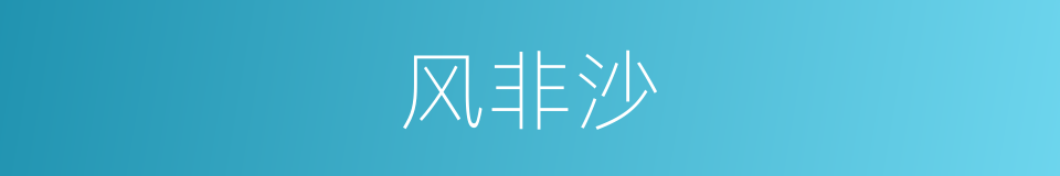 风非沙的同义词