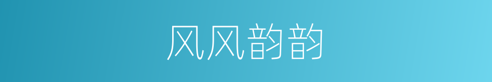 风风韵韵的意思