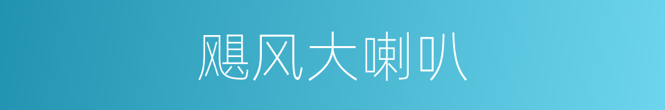 飓风大喇叭的同义词