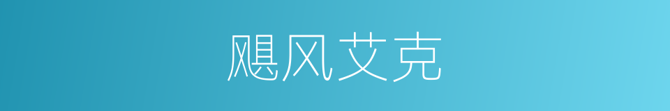飓风艾克的同义词