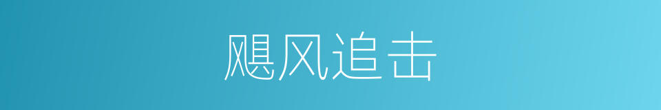 飓风追击的同义词
