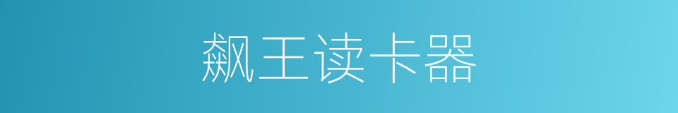 飙王读卡器的同义词