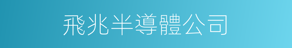 飛兆半導體公司的同義詞
