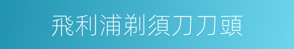 飛利浦剃須刀刀頭的同義詞