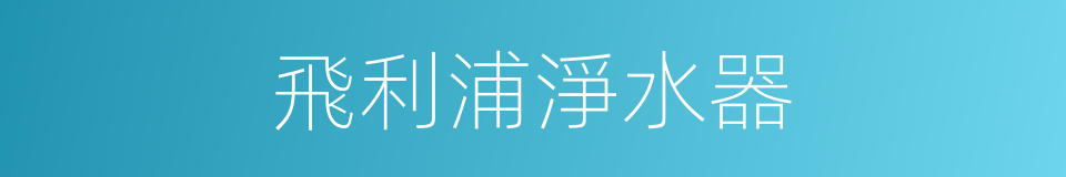 飛利浦淨水器的同義詞