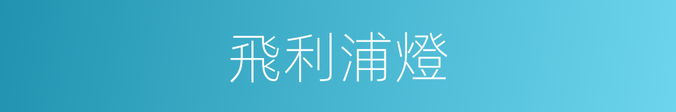 飛利浦燈的同義詞