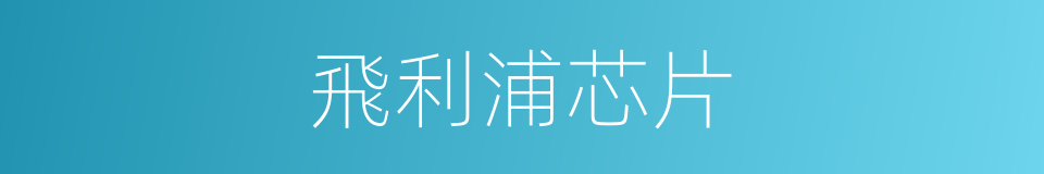 飛利浦芯片的同義詞