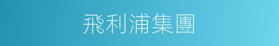 飛利浦集團的同義詞