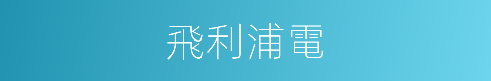 飛利浦電的同義詞