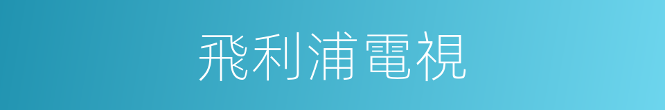 飛利浦電視的同義詞