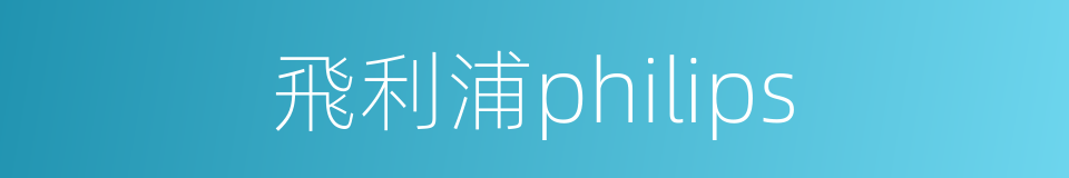 飛利浦philips的同義詞