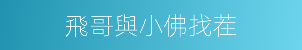 飛哥與小佛找茬的同義詞