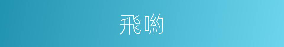 飛喲的意思