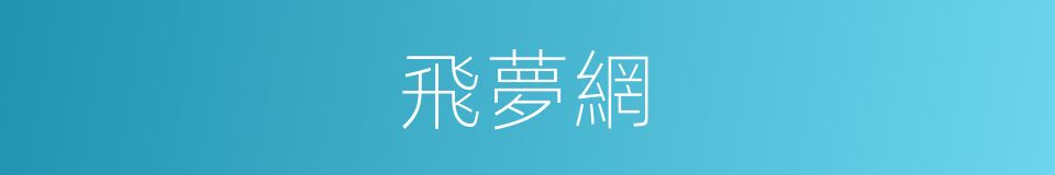 飛夢網的同義詞