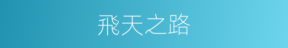 飛天之路的同義詞