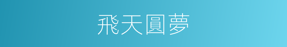 飛天圓夢的同義詞