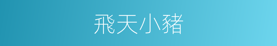 飛天小豬的同義詞