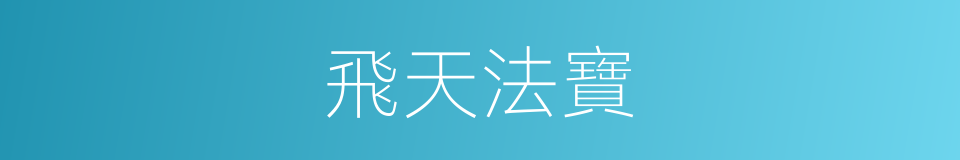 飛天法寶的同義詞