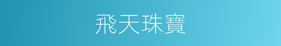 飛天珠寶的同義詞
