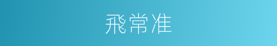 飛常准的同義詞